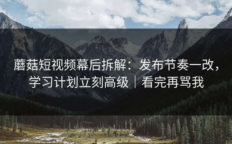 蘑菇短视频幕后拆解：发布节奏一改，学习计划立刻高级｜看完再骂我