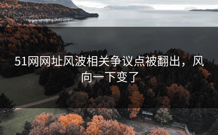 51网网址风波相关争议点被翻出，风向一下变了