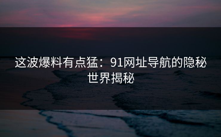 这波爆料有点猛：91网址导航的隐秘世界揭秘