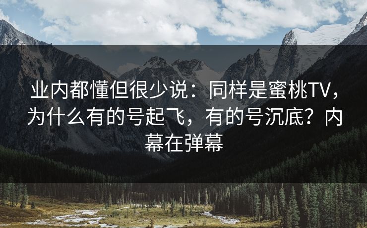 业内都懂但很少说:同样是蜜桃TV,为什么有的号起飞,有的号沉底?内幕在弹幕